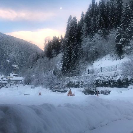 Holidays Dolomiti Apartment Resort Carisolo Buitenkant foto